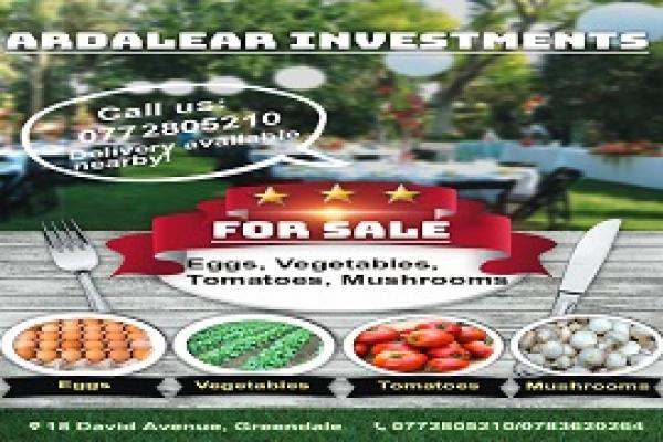 Ardalear Investments